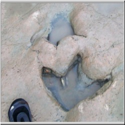 100_0568 (2009-26-07)m.JPG